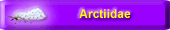 Arctiidae