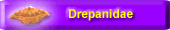 Drepanidae