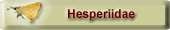 Hesperiidae