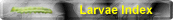 Larvae by Family