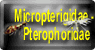 Click to select Micro Moth menu