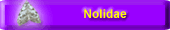 Nolidae