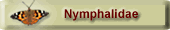 Nymphalidae