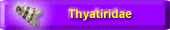 Thyatiridae